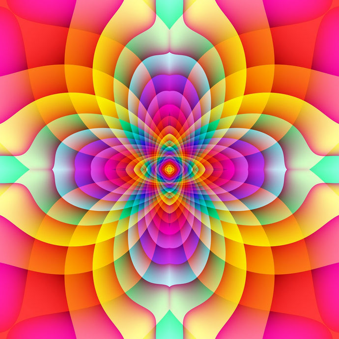 Fractal Florals 772 Canvas Art