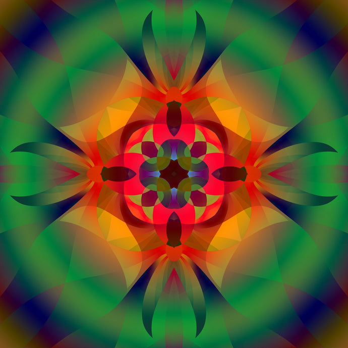 Fractal Florals 821 Canvas Art